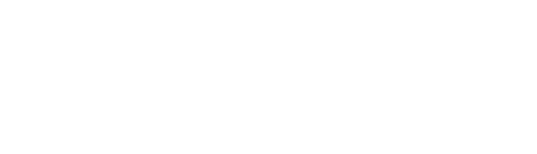 W-Autosport